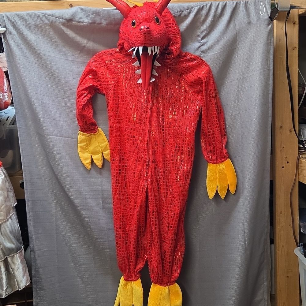 Princess Paradise Chinese Dragon Costume - Children Size XS (4)